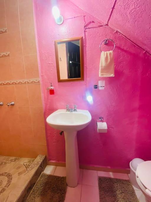 Casa Camilo - Cozy, Beautiful And Nice Separe Room 산미겔데아옌데 외부 사진
