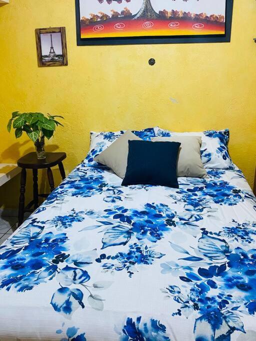 Casa Camilo - Cozy, Beautiful And Nice Separe Room 산미겔데아옌데 외부 사진