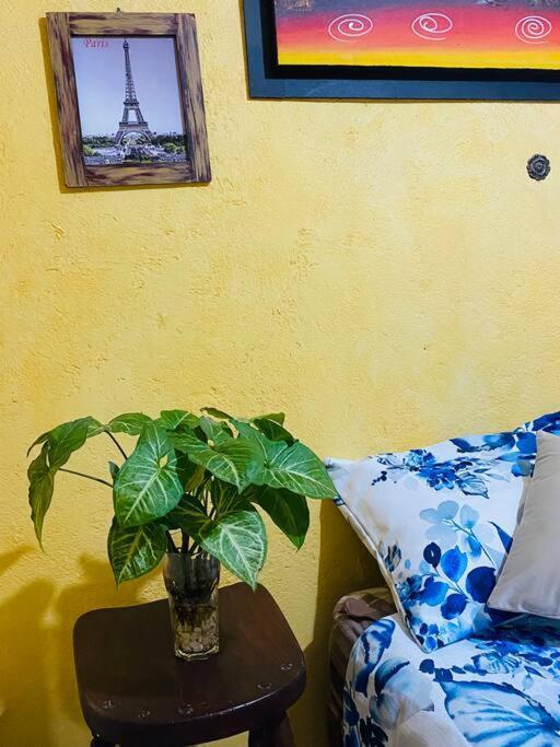 Casa Camilo - Cozy, Beautiful And Nice Separe Room 산미겔데아옌데 외부 사진